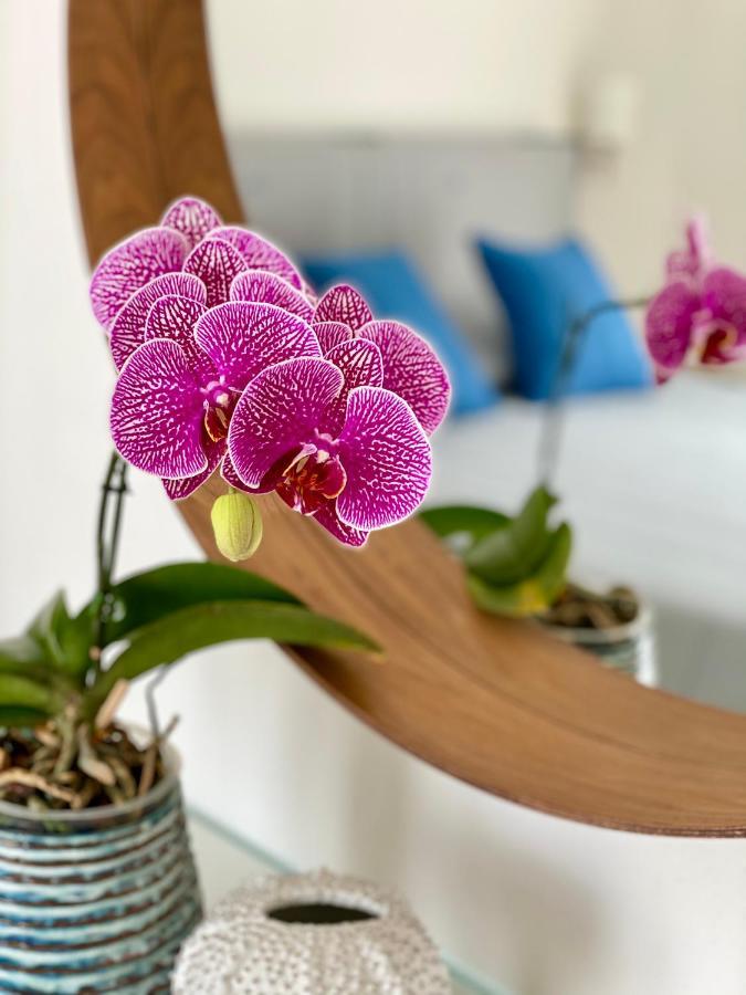 Apartmán Via Firenze 11 Follonica Exteriér fotografie